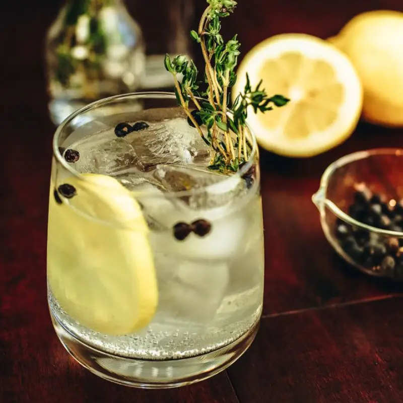 Gin and Tonic